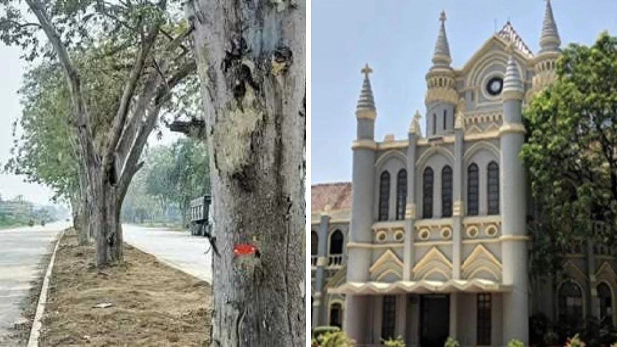 'बिना अनुमति कोई भी पेड़ न काटा जाए...', हाई कोर्ट ने भोपाल में पेड़ काटने पर लगाई रोक