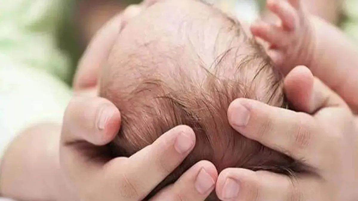 कानपुर में मानवता शर्मसार... मुंह में नवजात का शव दबाकर पार्क में घूम रहा था आवारा कुत्ता, नहीं थे बच्चे के हाथ और सिर