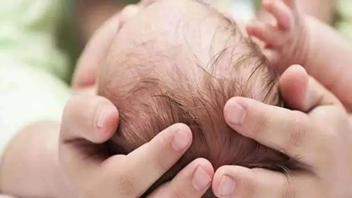 कानपुर में मानवता शर्मसार... मुंह में नवजात का शव दबाकर पार्क में घूम रहा था आवारा कुत्ता, नहीं थे बच्चे के हाथ और सिर