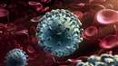 Coronavirus Update Indore: स्वास्थ्य विभाग जारी नहीं कर रहा कोरोना मेडिकल बुलेटिन