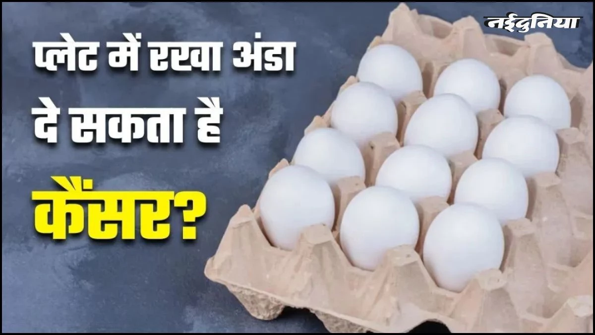 अंडा खाने से कैंसर होने का दावा कितना सच? FSSAI ने कर दिया साफ