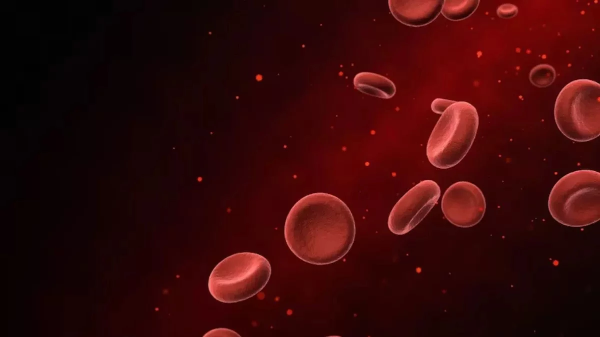 MP में हर दूसरे बच्चे और हर तीसरी महिला को एनीमिया का खतरा, पढ़ें हैरान कर देने वाली रिपोर्ट