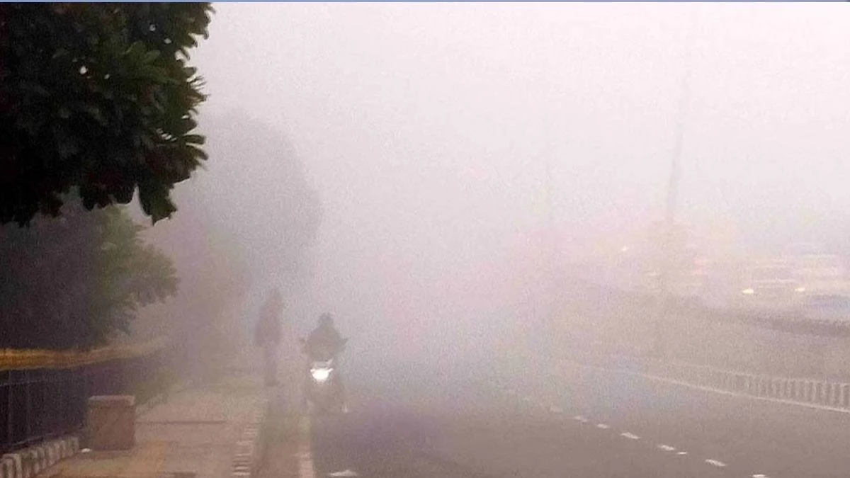 MP Weather Update: प्रदेश में आज से छाने लगेंगे बादल, उत्तरी और उत्तर-पूर्वी क्षेत्र में घने कोहरे का अलर्ट