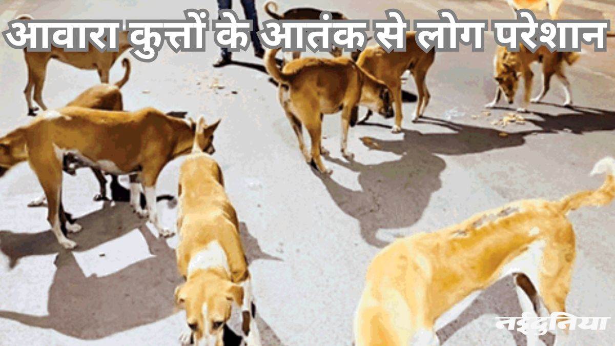 दहशत में लोग: रोजाना 20 कुत्तों के बधियाकरण का दावा फिर भी 15 लोग प्रतिदिन हो रहे शिकार