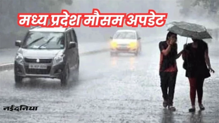 MP Weather Update: मध्य प्रदेश के 27 जिलों में आज बारिश के आसार, तेज हवाओं से गेहूं की फसल को नुकसान