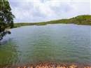 World WaterDay Special: मध्य प्रदेश के सूखे आदिवासी क्षेत्र में उतरी 'शिव की गंगा' तो हुई जलक्रांति