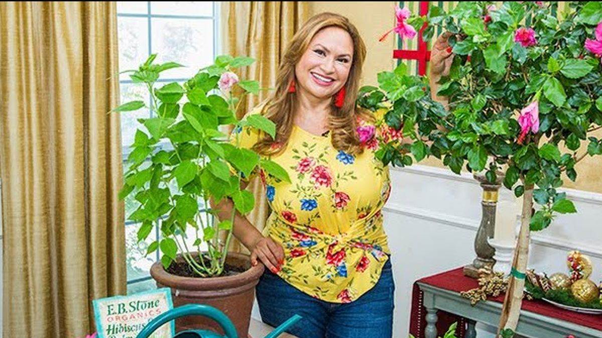 Vastu shastra Tips इस दिशा में रखें गुड़हल का पौधा, घर में लगाते ही खोल देगा तरक्की का द्वार