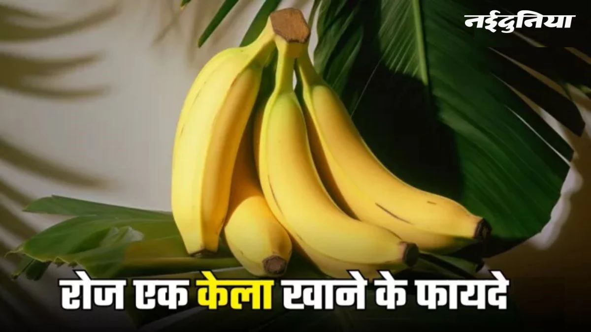 इंस्टेंट एनर्जी चाहिए तो रोज खाएं केला, मिलेंगे और भी फायदे