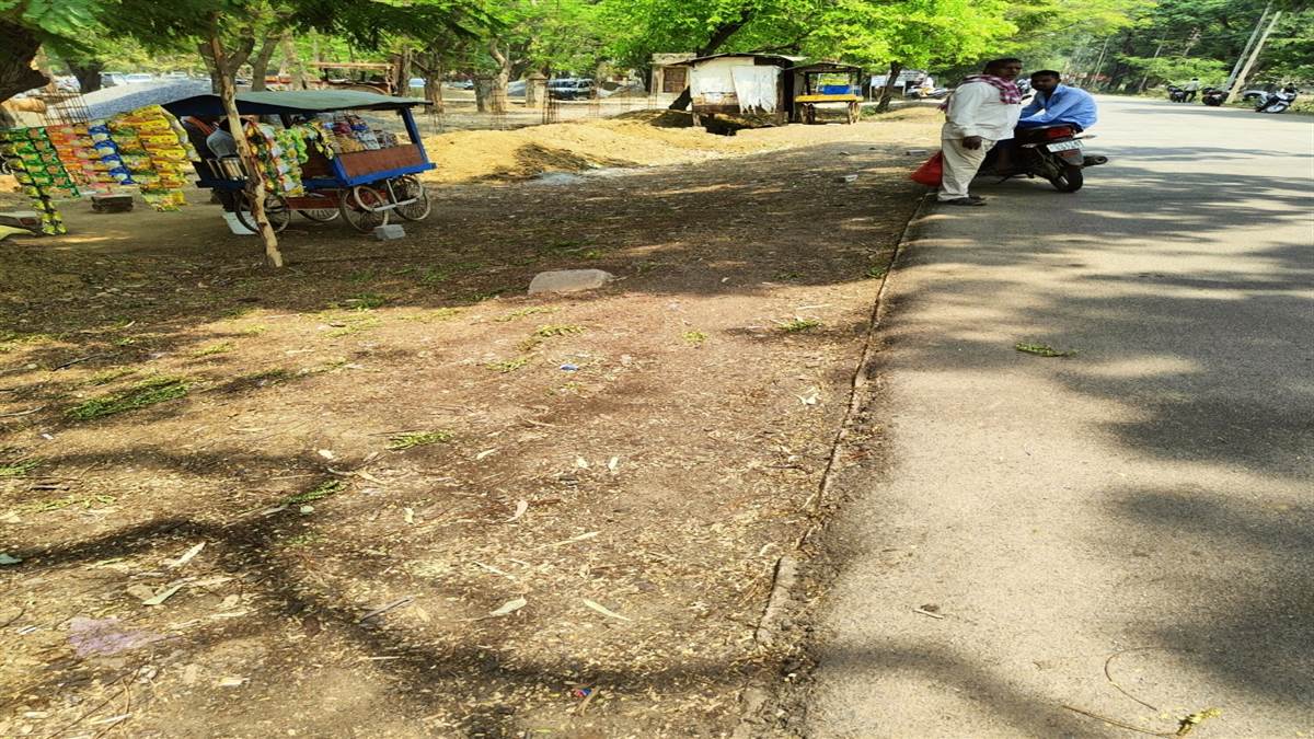 Janjgir-champa News : तहसील कार्यालय के सामने बेतरतीब पार्किंग से बिगड रही व्यवस्था