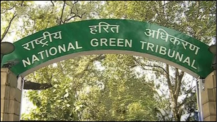'पेड़ों के चारों ओर कंक्रीट डालना उनकी हत्या जैसा...', एनजीटी की भोपाल नगर निगम और PWD को फटकार
