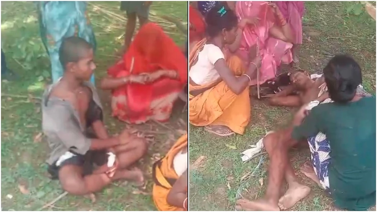 Tiger attack again in Bandhavgarh, two shepherds injured ... if they do not make noise, you take life