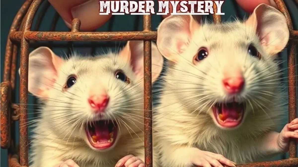Jagran theater: Lover couples will be trapped in a trap like mice, this scary story is named 'The Rats'; Must see