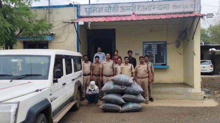 राजस्थान से MP में तस्करी की बड़ी कोशिश नाकाम: गुना में ₹55 लाख के डोडाचूरा के साथ आरोपी गिरफ्तार, NDPS एक्ट में केस दर्ज