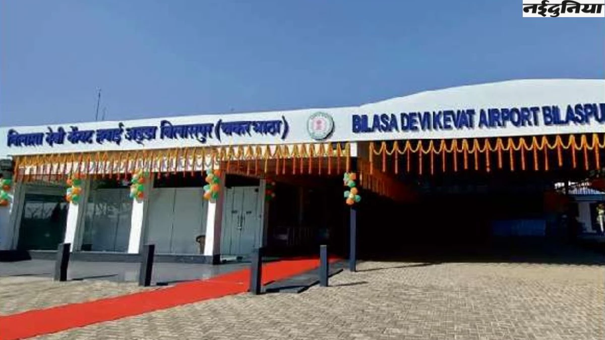 बिलासा एयरपोर्ट पर सियारों की एंट्री से यात्रियों को खतरा, एयरपोर्ट मैनेजमेंट ने वन विभाग से मांगी मदद