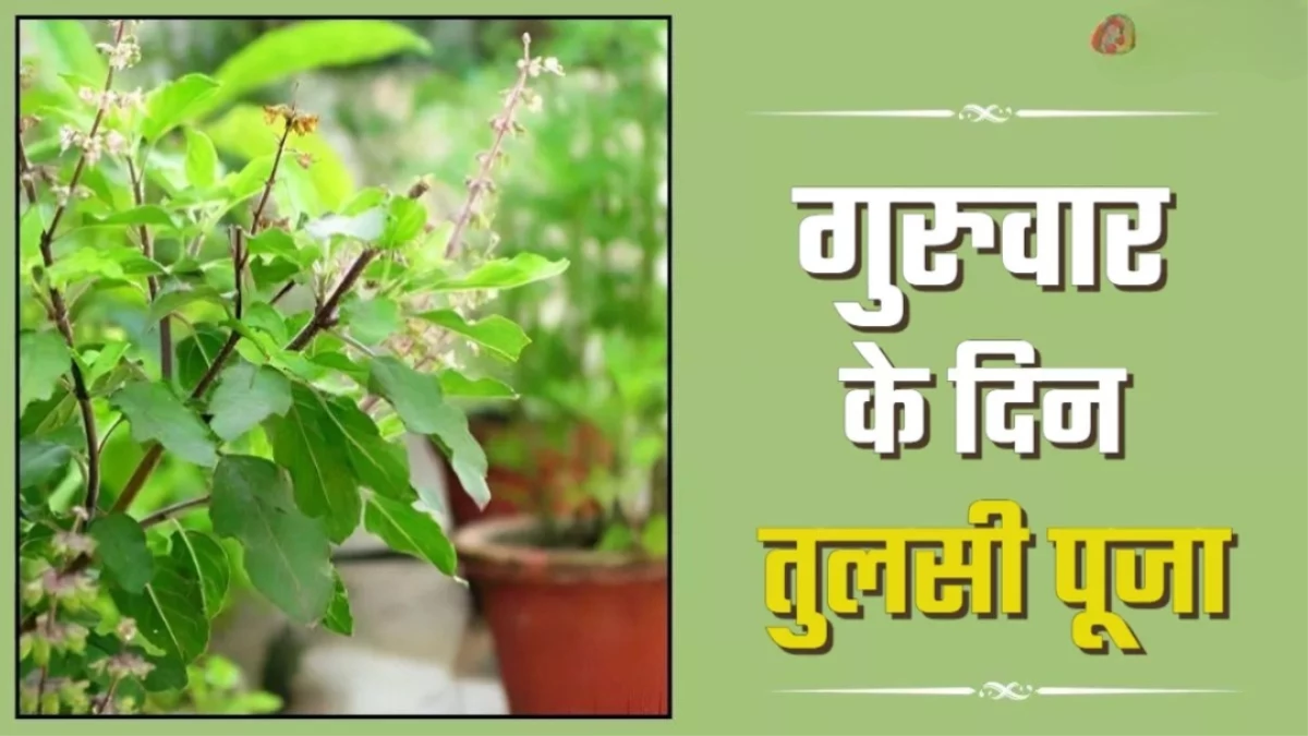 Guruwar Puja: गुरुवार को जरूर करें इस चलीसा का पाठ, मिलेगा अन्न-धन का आशीर्वाद
