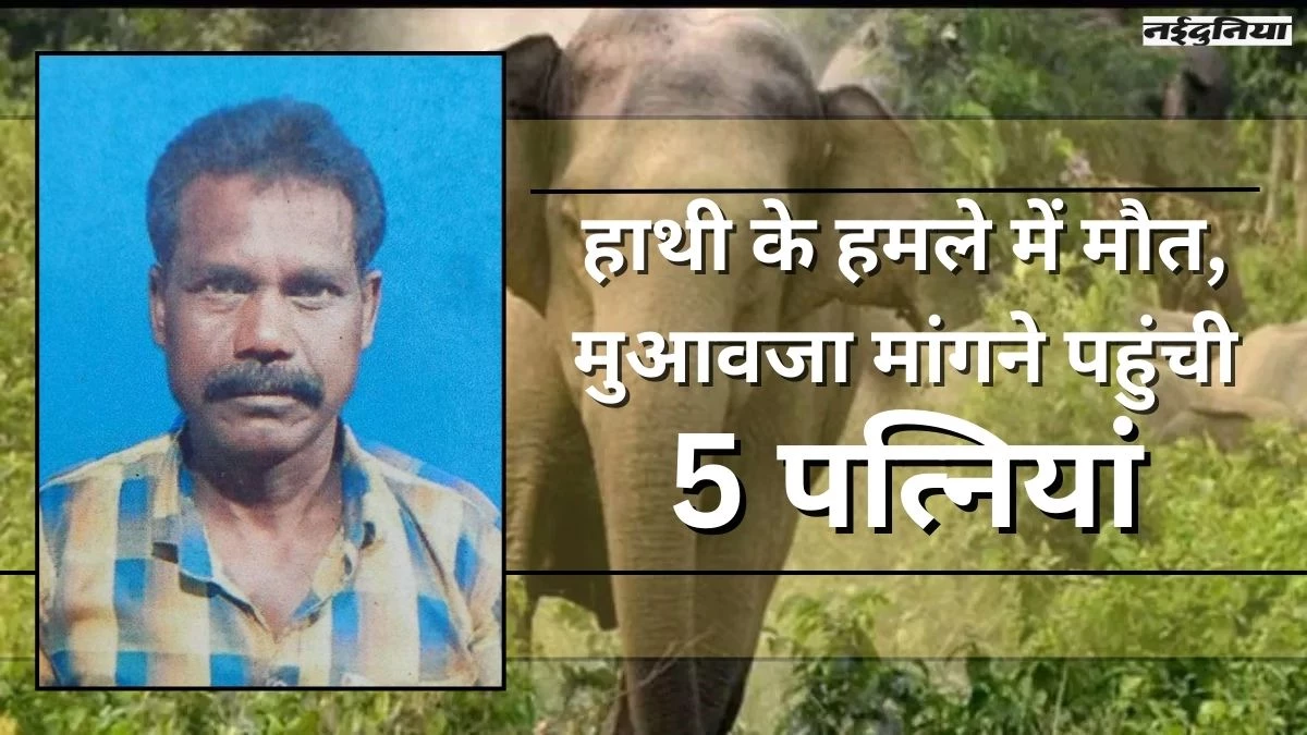 हाथी के हमले में मौत का मुआवजा लेने पहुंच गई पांच-पांच पत्नियां, सिर खुजा रहा वन विभाग