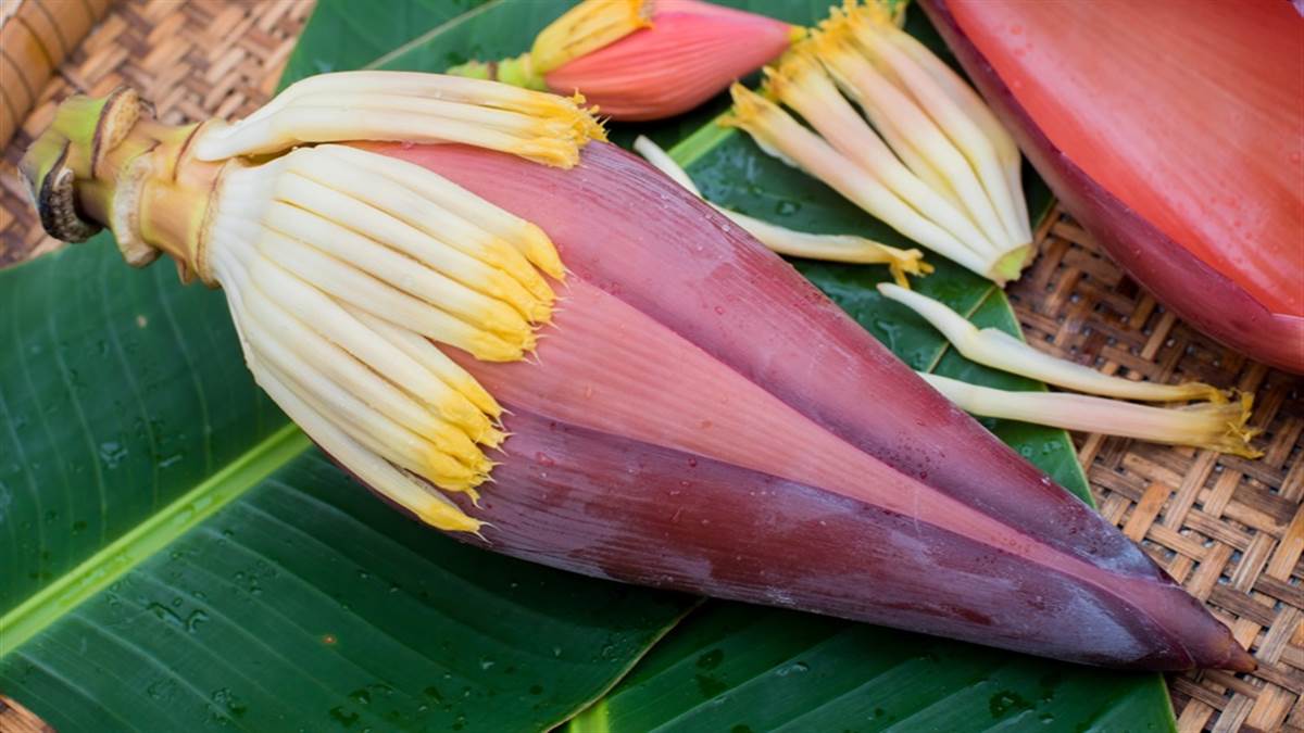 Banana Flower अल्सर और पेट की बीमारी से परेशान है तो खाएं केले के फूल