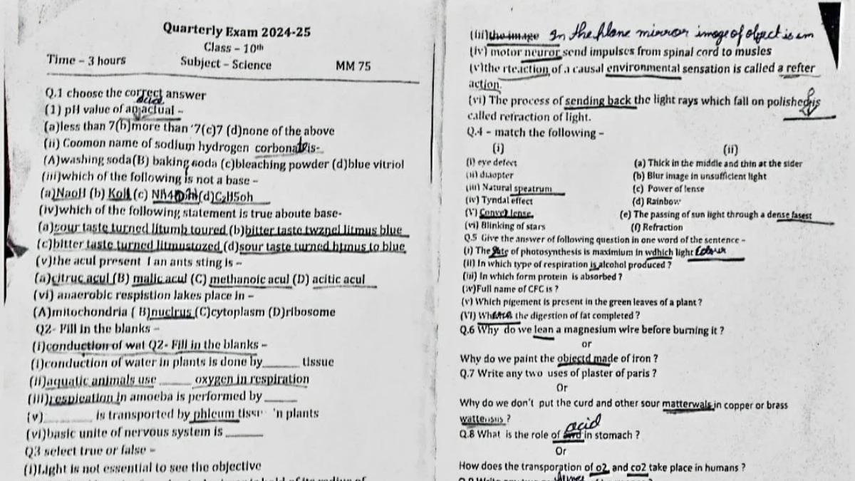 Exam Paper: मुरैना में शिक्षकों ने विज्ञान विषय का ऐसा पेपर बनाया, जिसके 13 प्रश्नों में 93 अशुद्धियां