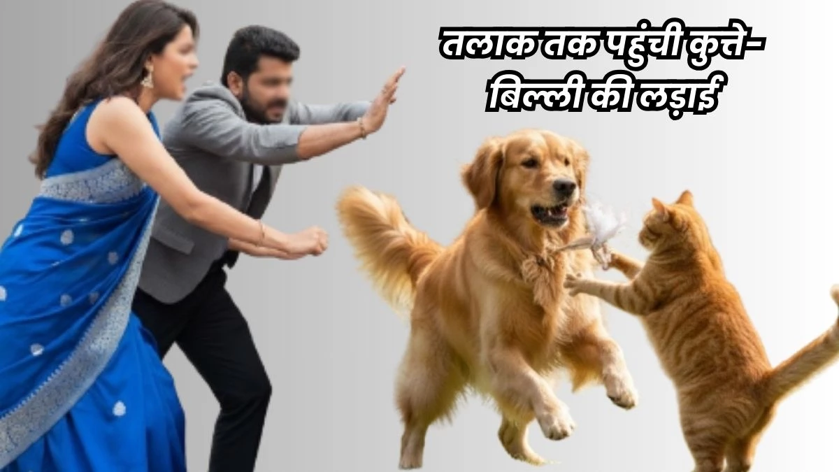 Divorce Case: पत्नी की बिल्ली और पति का कु्त्ता, दोनों लड़ते हैं इसलिए कपल ने मांगा एक-दूसरे से तलाक