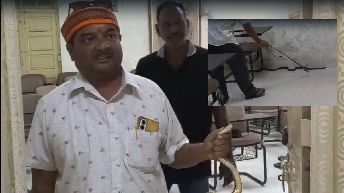 जबलपुर के मेडिकल काॅलेज अस्पताल के एनाटाॅमी विभाग में घुसा सात फीट लंबा सांप, पढ़ाई कर रहे छात्रों में अफरा-तफरी