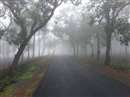 Weather Update Chhattisgarh: मौसम खुलते ही उत्तर छत्तीसगढ़ में बढ़ने लगी ठंड, सुबह पसरी कोहरे की चादर