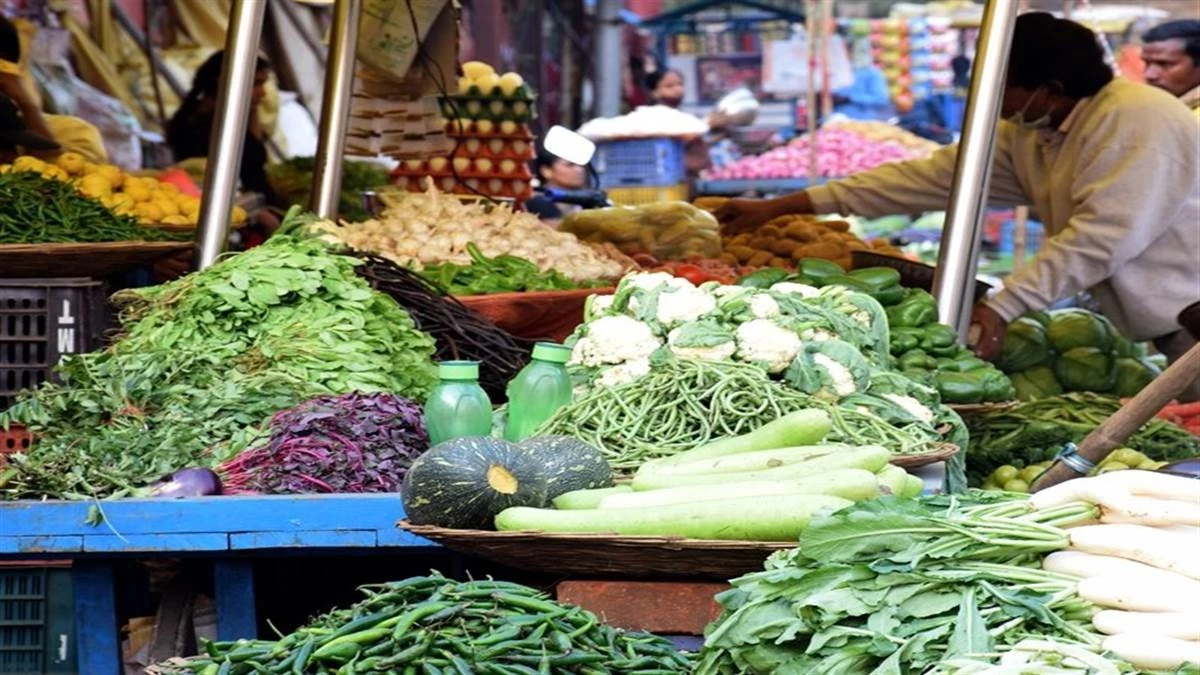 जबलपुर में नालों के गंदे पानी से सब्जी उगाए जाने पर हाई कोर्ट ने कलेक्टर से मांगा जवाब