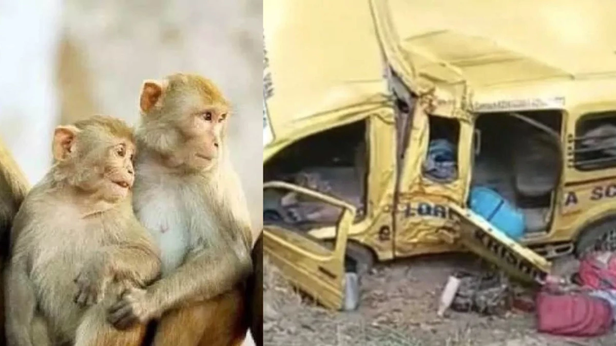 बंदरों को बचाने के चक्कर में खाई में पलटी स्कूल वैन, 7 बच्चे घायल; तीन की हालत गंभीर