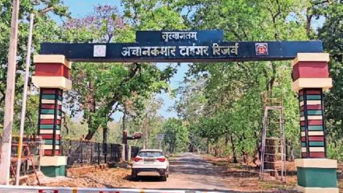 अचानकमार टाइगर रिजर्व में बड़ी लापरवाही: ट्रैप कैमरों से मेमोरी कार्ड चोरी, बाघों का अहम डेटा हुआ गायब
