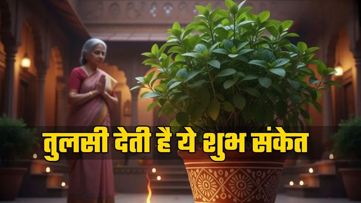 तुलसी के इन संकेतों को न करें नजरअंदाज... लक्ष्मी आगमन से लेकर धन लाभ तक, पौधा पहले ही देता है सूचना
