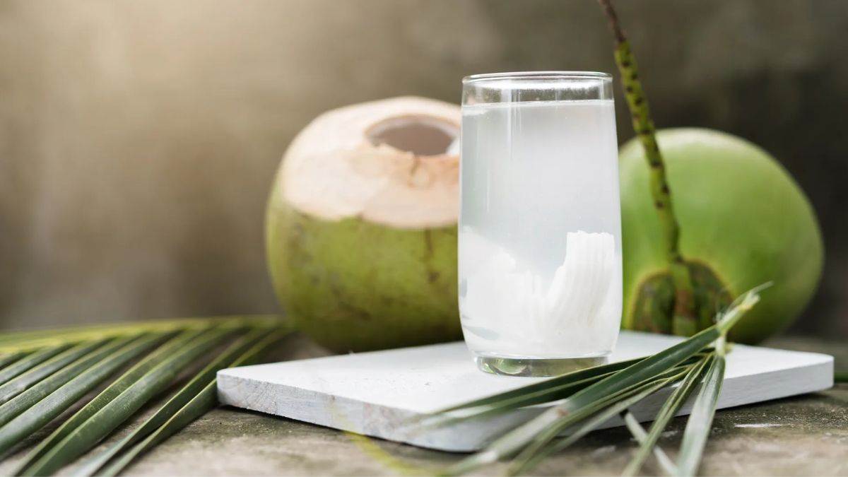 Coconut Water Side Effects: इन बीमारियों में न पिएं नारियल पानी, ब्लड में  बढ़ेगा पोटेशियम लेवल - Coconut Water Side Effects Do not drink coconut  water in these diseases potassium level will