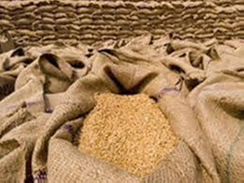 Gehu Kharidi in MP : 31 मई तक केंद्रों और 30 जून तक सौदा पत्रक से होगी गेहूं खरीदी - Gehu Kharidi in MP Wheat to be purchased from centers by May
