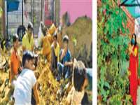 World Earth Day: शहर के वृक्ष आश्रम में बच्चे सीख रहे बीज से पाैधे तैयार करना