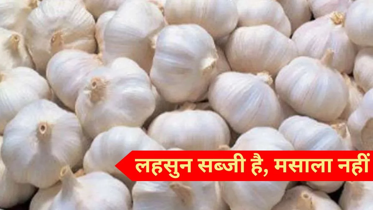 Lahsun Ki Nilami: ‘लहसुन सब्जी है, मसाला नहीं, इसलिए मंडियों में होगी सरकारी नीलामी’… MP के 8 साल पुराने केस पर SC का फैसला