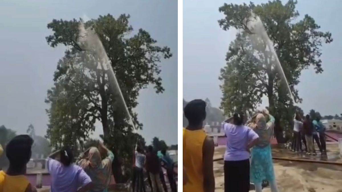 अधिकारी के तोते को पेड़ से उतारने के लिए बुलाई गई फायर ब्रिगेड की टीम, बहाया हजारों लीटर पानी