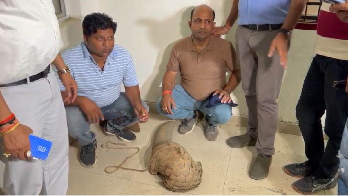 रायपुर में 50 करोड़ का पैंगोलिन बेचने आए 2 तस्कर गिरफ्तार, वन विभाग ने घेराबंदी कर दबोचा