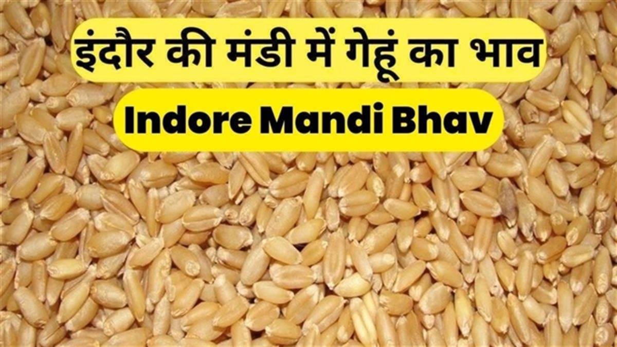 Wheat Price Indore Wheat Price Indore Wheat