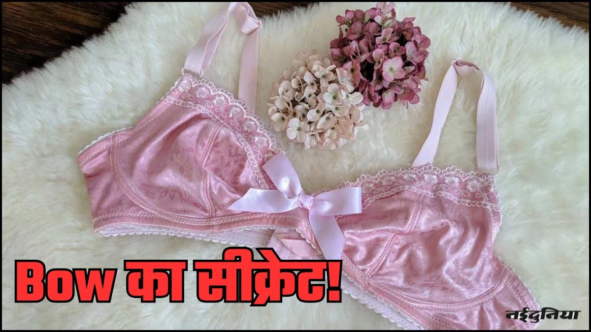 LifeStyle: आखिर महिलाओं की Bra और Panty में क्यों बना होता है Bow? बेकार नहीं, ये है इसके पीछे की असली वजह