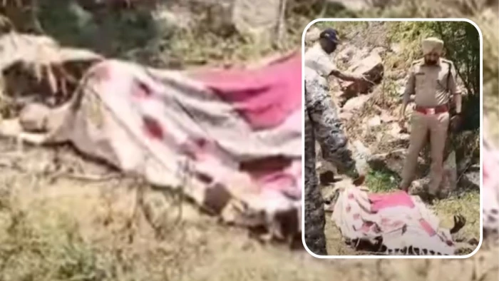 दतिया: हाईवे पर मिली महिला की अधजली लाश मामले में बड़ा अपडेट, पहचान मिटाने की थी कोशिश; शिनाख्त के लिए पुलिस खंगाल रही गुमशुदगी के रिकॉर्ड