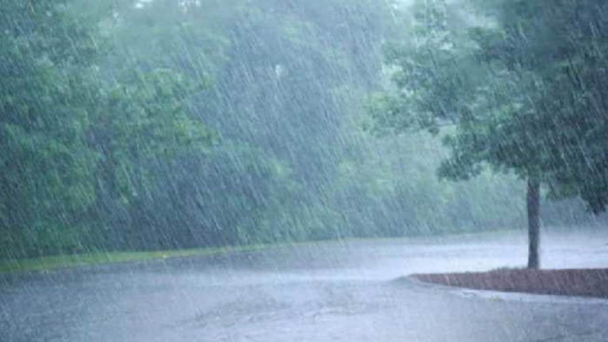 Raipur Weather: मानसून द्रोणिका सक्रिय, रायपुर में हल्की तो बस्तर में अति भारी वर्षा की संभावना