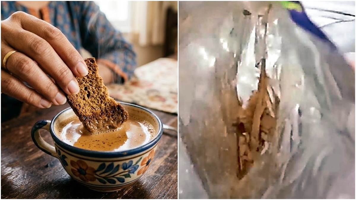 चाय के साथ खा लिए सात-आठ टोस्ट, देखा तो पैकेट में थी मरी छिपकली; घबराई...