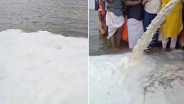 नदियों में दूध बहाने पर NGT का प्रतिबंध लगाने से इनकार, कहा- नर्मदा में दूध चढ़ाना धार्मिक आस्था, लेकिन दूषित न करें