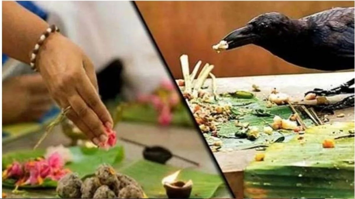 Pitru Paksha 2025 पर 100 साल बाद बन रहा दुर्लभ संयोग, दान-पुण्य से मिलेगा लाभ