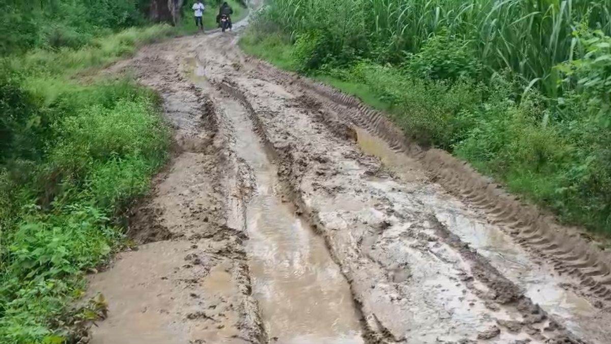 एमपी में बदहाल सड़क ने ली बुजुर्ग की जान, ट्रैक्टर कीचड़ में फंसा