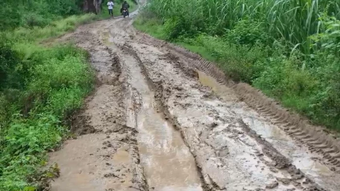 एमपी में बदहाल सड़क बनी काल... 2 घंटे कीचड़ में फंसा रहा ट्रैक्टर, अस्पताल पहुंचने में देरी से बुजुर्ग की मौत
