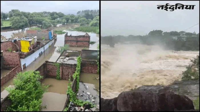 रीवा में 10 साल बाद फिर बाढ़ से बिगड़े हालात, 24 घंटे में 187 मिमी बारिश, 150 से अधिक गांव डूबे; 2200 लोग राहत शिविरों में