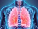Health Alert : जो लोग करते हैं बहुत चिंता उन्हें सांस लेने में परेशानी का होता है भ्रम, शोध में दावा