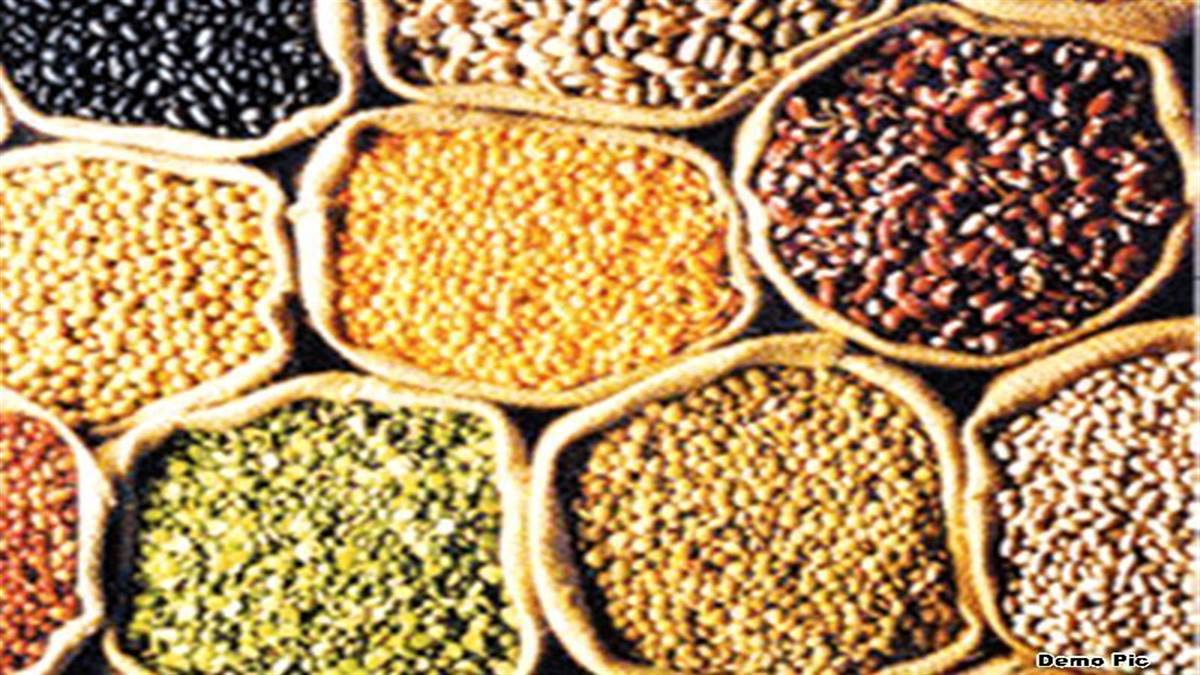 Dal Rates in Indore : तुवर-मूंग दाल में तेजी, आयातकों को बाजार में माल उतारने के निर्देश दे सकती है सरकार