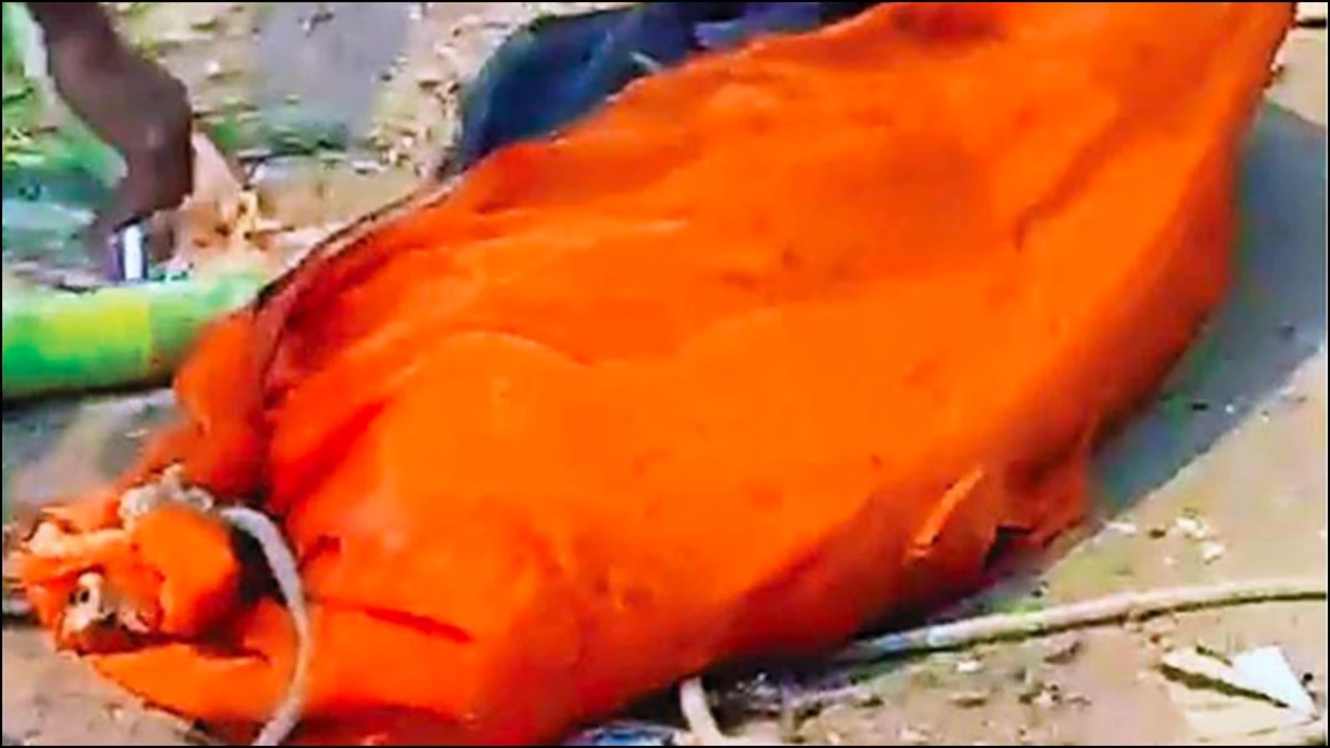 भोपाल में कचरा बीन रहे लड़के को नाले में दिखा बोरा, पुलिस को बुलाकर खोला तो अंदर मिली लाश