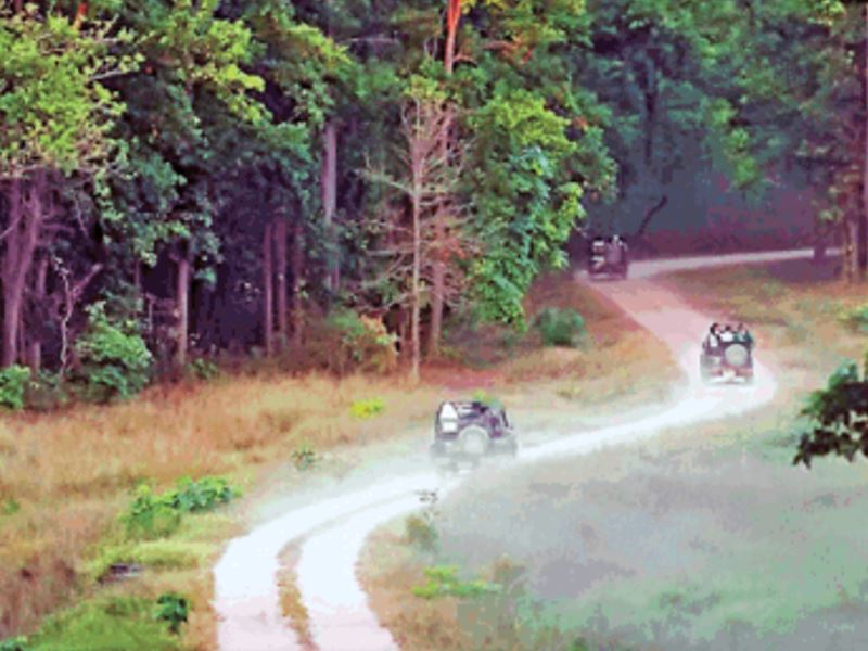 Buffer Zone in MP बफर में सफर के जरिए संरक्षित क्षेत्रों में पर्यटन बढ़ाएगी मध्य सरकार Buffer