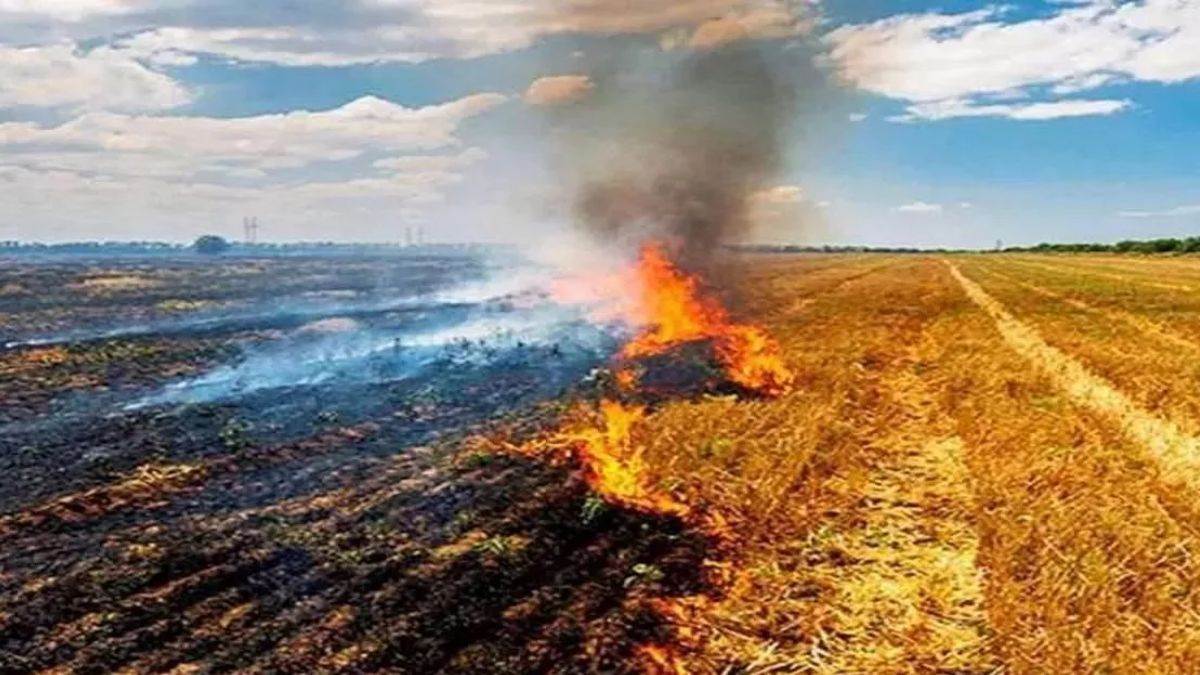 पराली जलाई तो होगी एफआईआर, एमपी के सात शहरों में प्रदूषण को रोकने के लिए बनेगा एक्शन प्लान